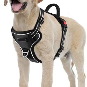 Dog Harness for Small Large Dogs