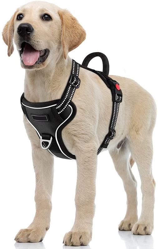 Dog Harness for Small Large Dogs