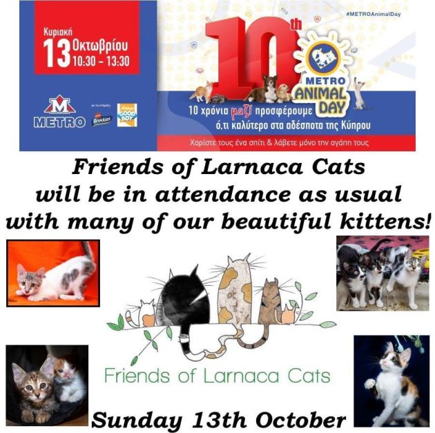 Friends of Larnaca Cats