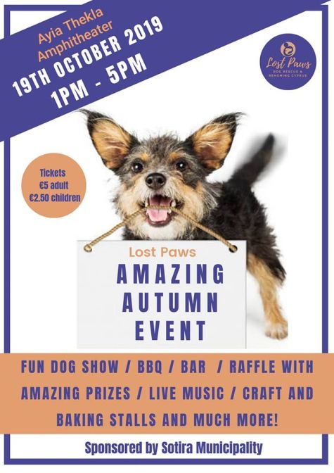 Lost Paws Dog Rescue and Rehoming Event