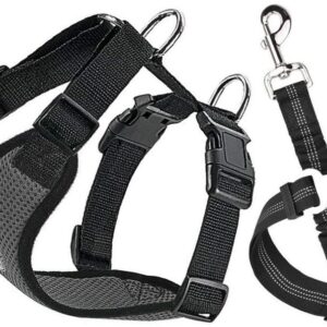 SlowTon Dog Harness with Safety Strap