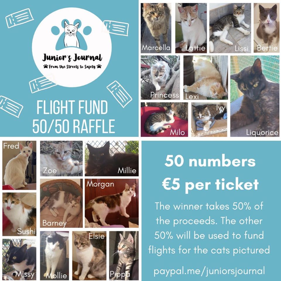 Junior's Journal Flightfund Raffle