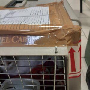 iata pet travel crates