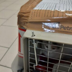 iata approved pet travel crates