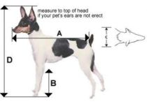 How to measure your Dog for a Travel Crate