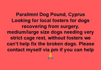 Paralimni Dog Pound