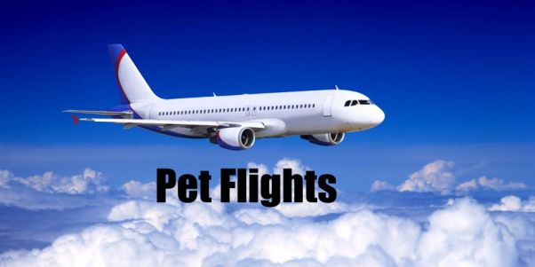 flying pets to the uk